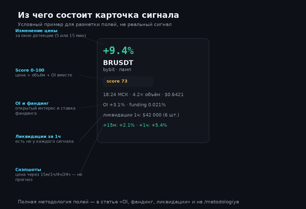 Аннотированная схема карточки радара с подписанными полями: изменение цены, score, открытый интерес, фандинг, ликвидации, снэпшоты